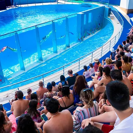 Daima Biz - Dolusu Aquapark Access