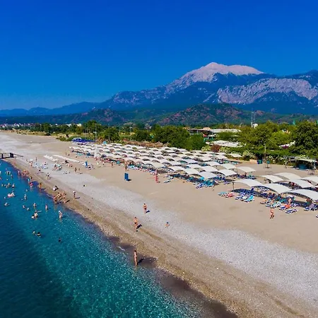 Hotel Daima Biz